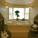 Double_Jacuzzi_643
