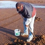 Briarcliffe-clamdigging2