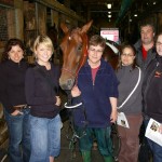 Experience PEI-Occ Concepts-horse